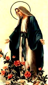 Queen of Roses